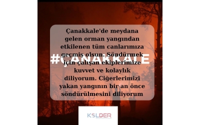 ÇANAKKALE YANGINI 