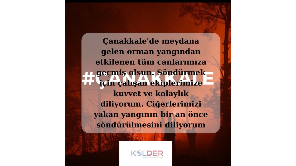 ÇANAKKALE YANGINI 
